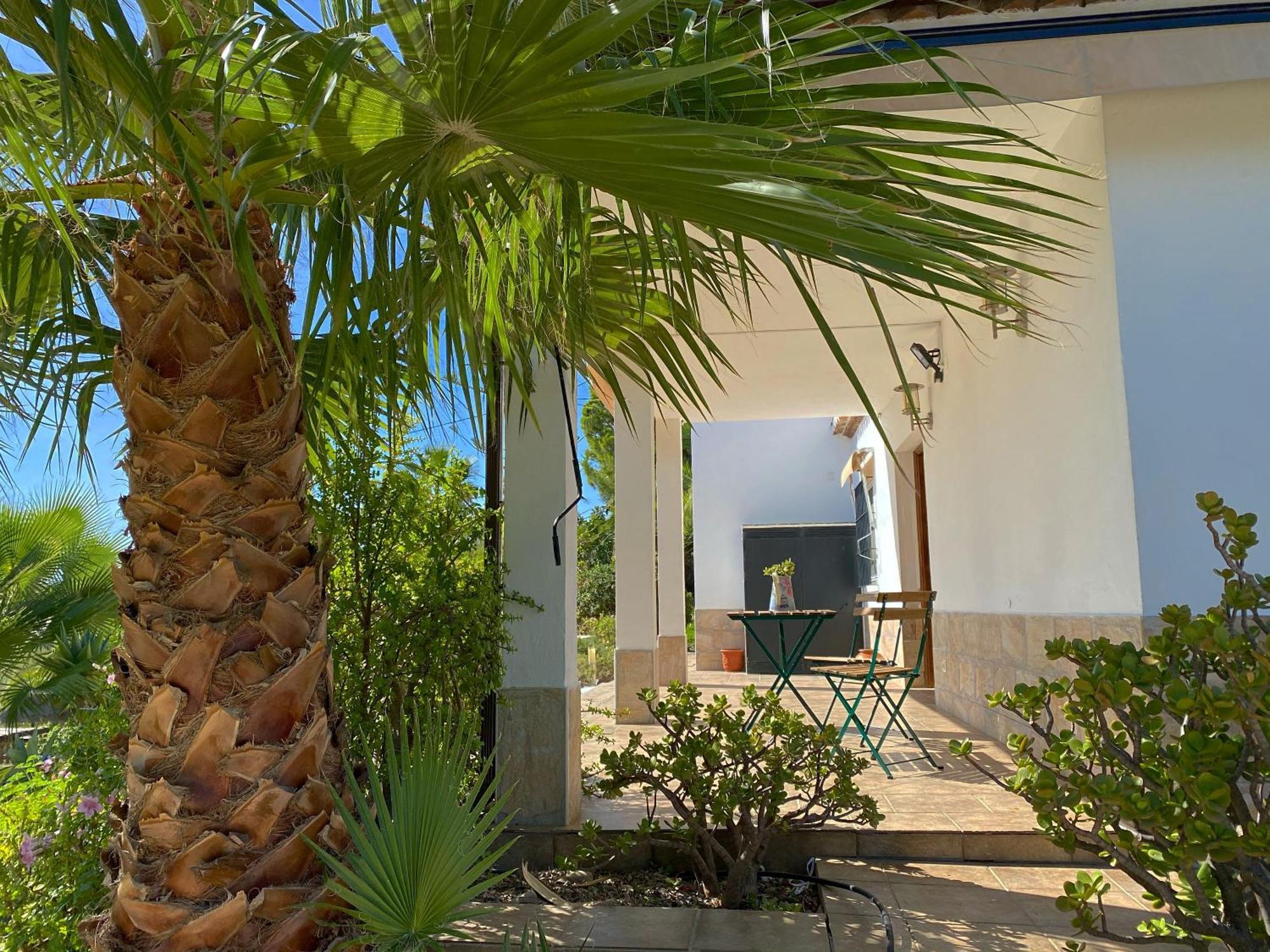 Las Palmeras Pizarra Ngoại thất bức ảnh